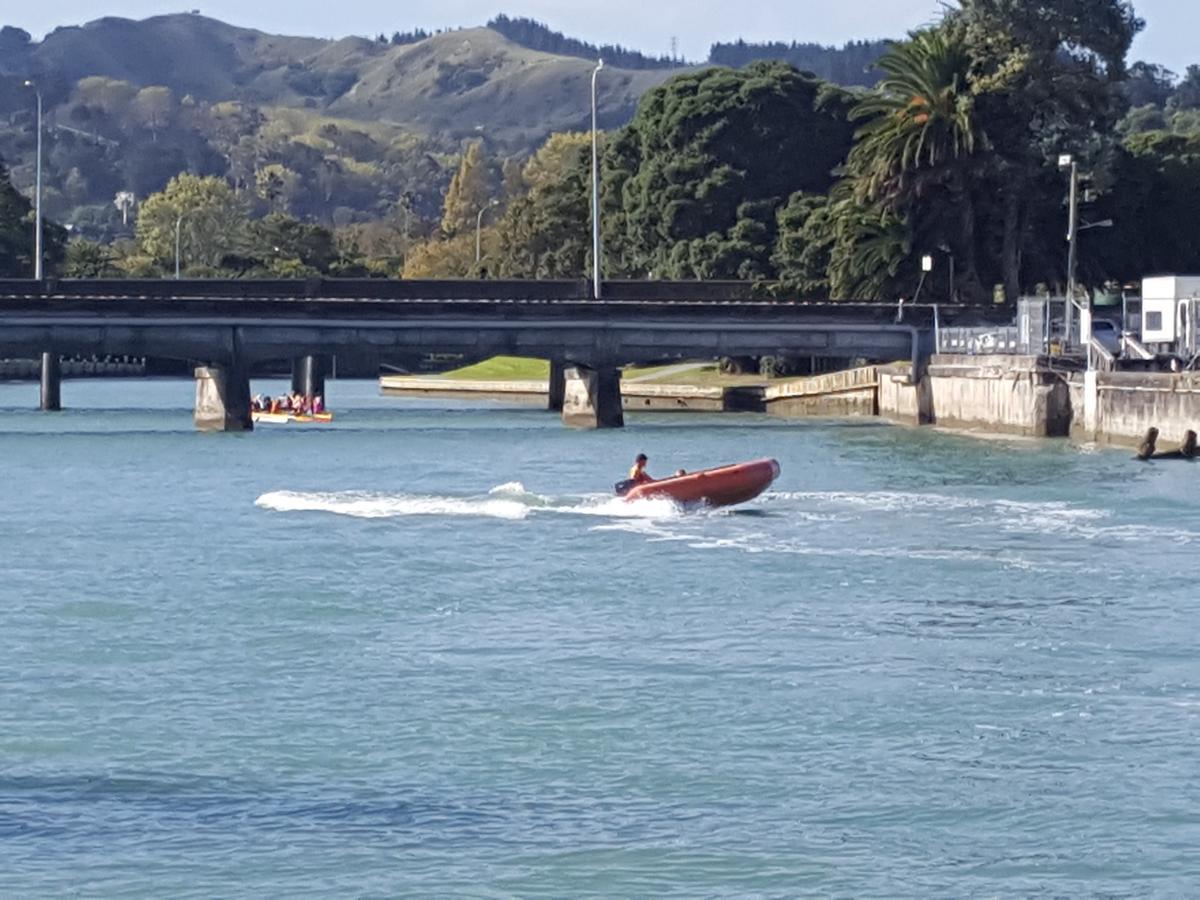 Marina View Apartments Gisborne Exteriör bild